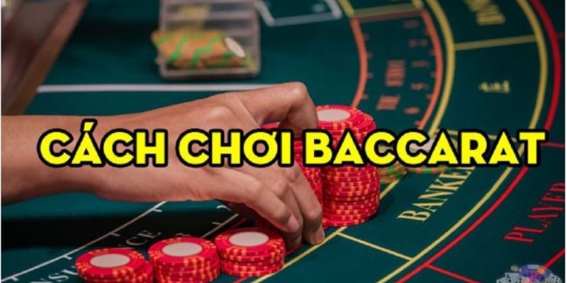 Hướng dẫn người chơi áp dụng soi cầu Baccarat đạt hiệu quả cao